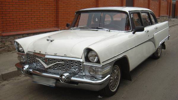 Чайка (белая)