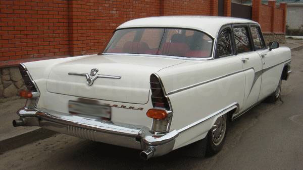 Чайка (белая)