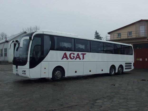 MAN R 08 Lion s Coach