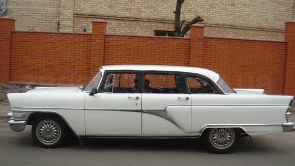 Чайка (белая)