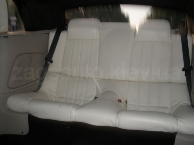 Ford Mustang Limousine (white)