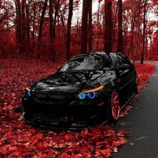 1b438f82c4991fea84136df08ce97a9d