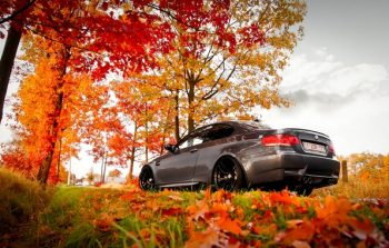 bmw-autumn-fall-leaves